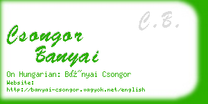 csongor banyai business card